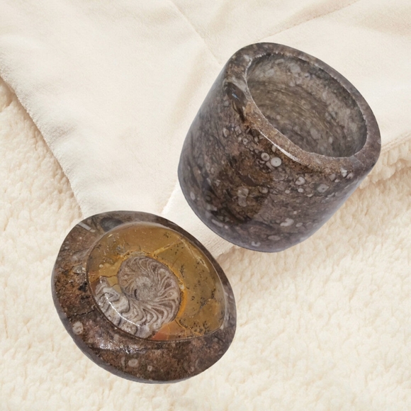 Ammonite Fossil on the Trinket Box's Lid. - Picture 2 of 9